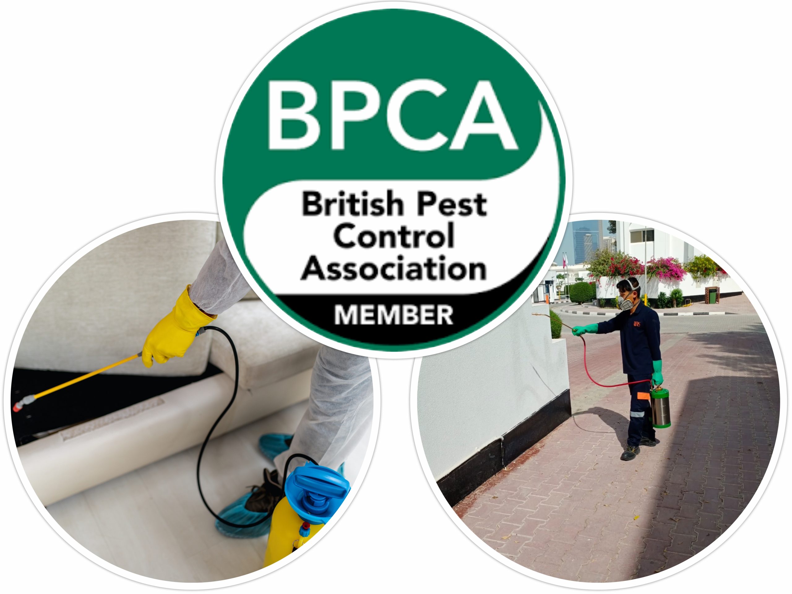 Pest Control Service